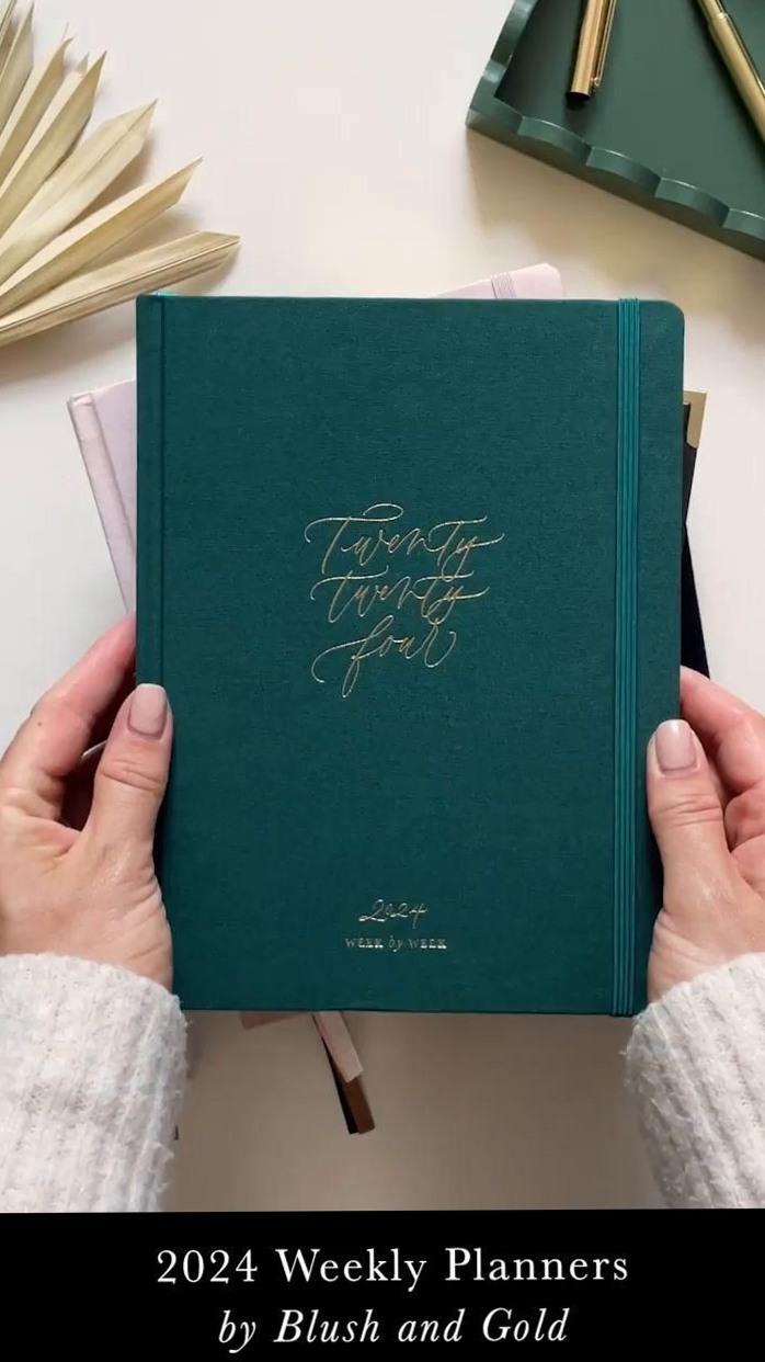 📁 📅 2024 Diary by Blush and Gold | Digital Design & Planner Assets | dream life manifestation