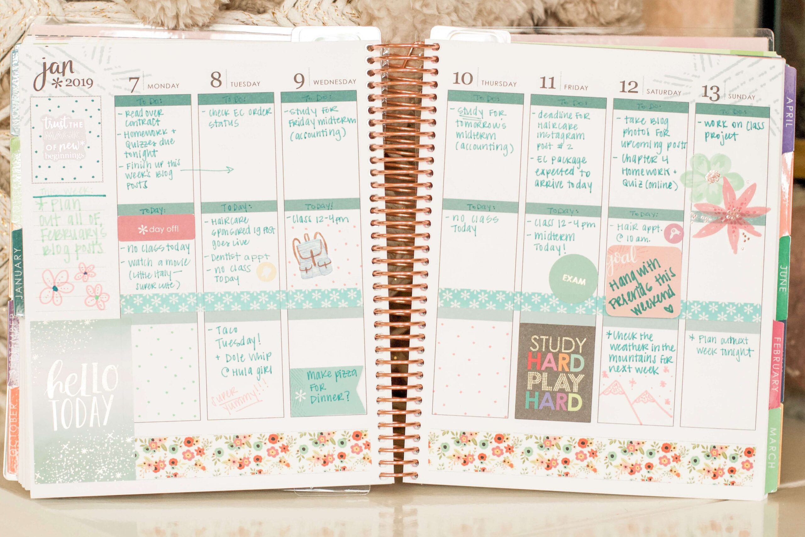🤍 ☁️ 9 Tips for Using Your Erin Condren LifePlanner | secret to staying productive