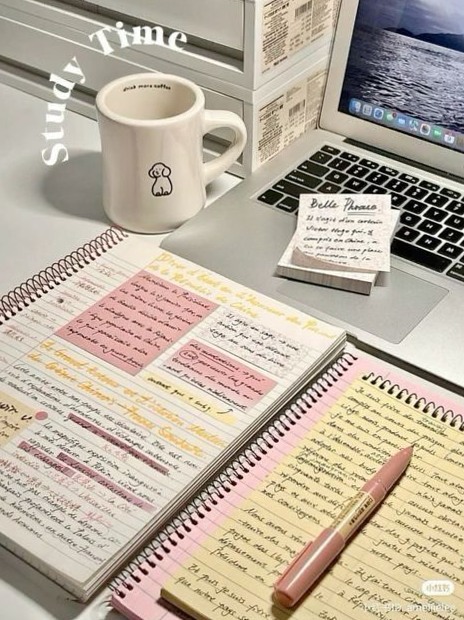 Digital Design Lessons for Creative Planners & Assets — 🍰 🌸 dream life manifestation