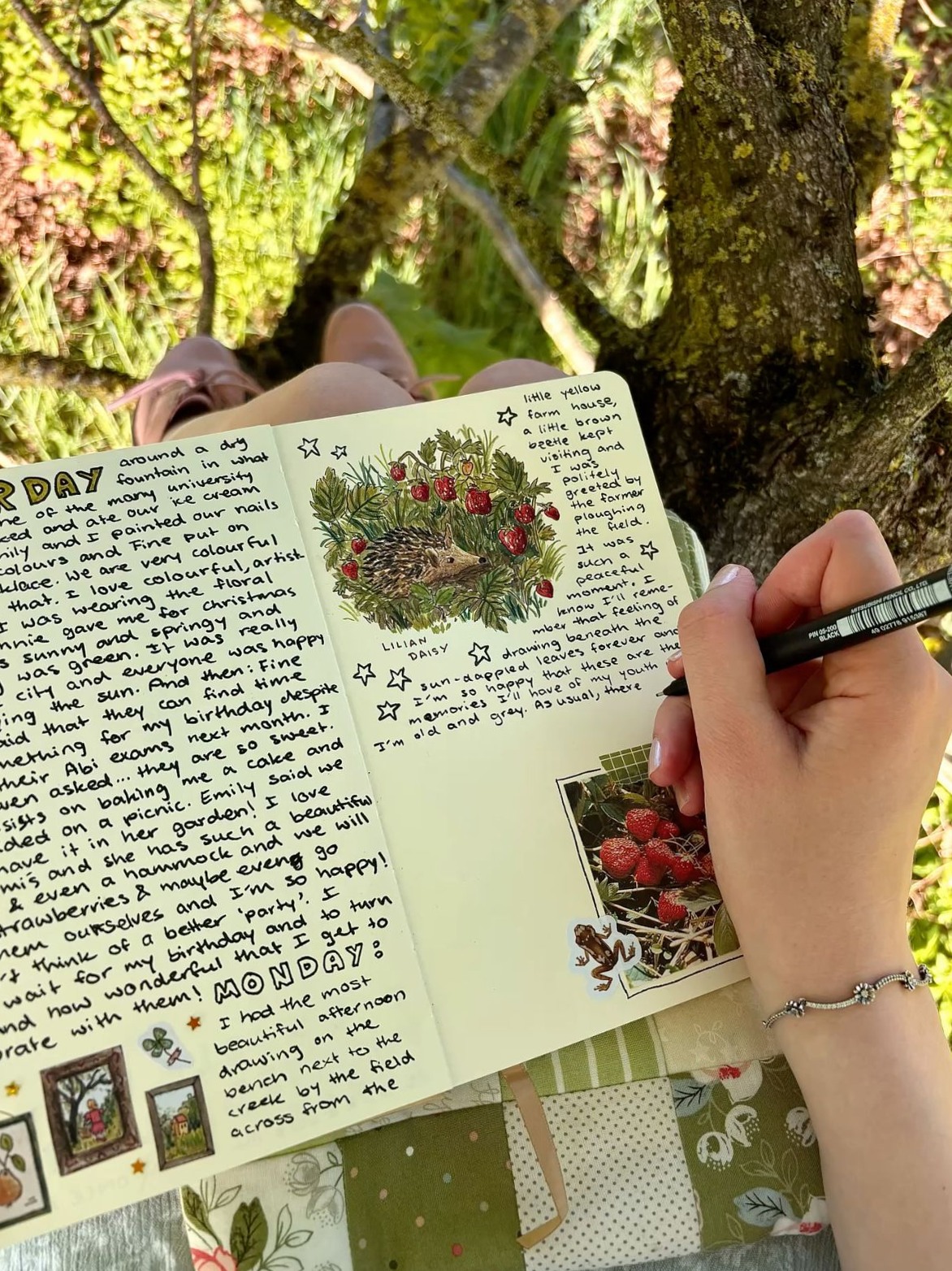 👰 👰 dream life manifestation: Nature-Inspired Journaling for Creative Planners
