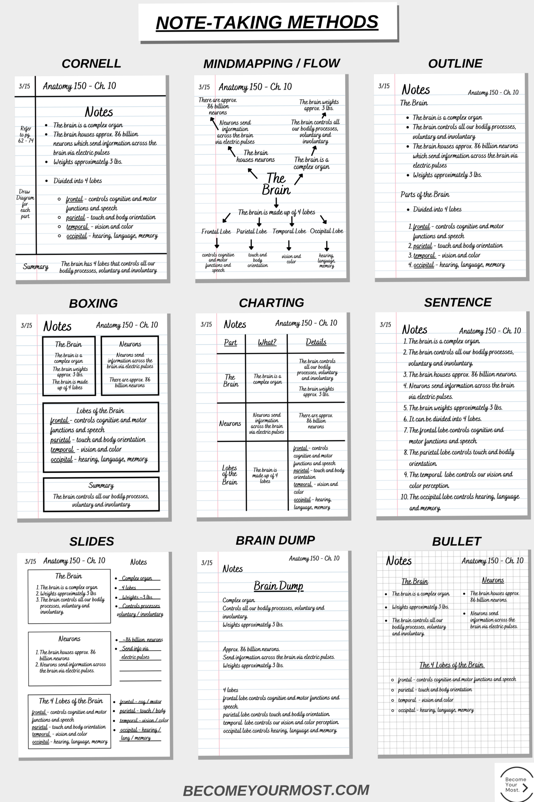 💌 🌸 dream life manifestation: Take Better Notes & Revision Hacks for ADHD Digital Planners