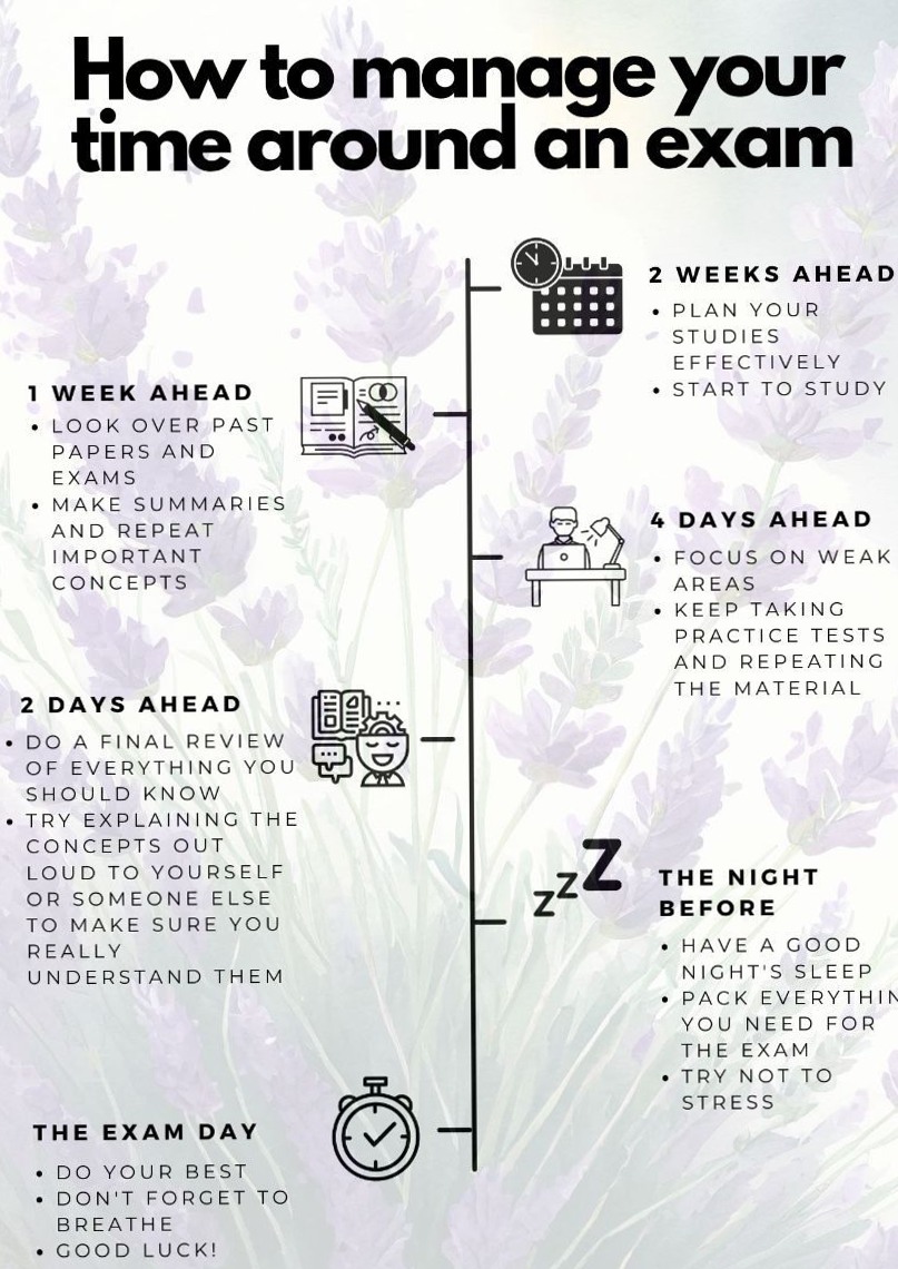 🎨 🖌️ Effective Time Management Strategies for Exam Prep | dream life manifestation