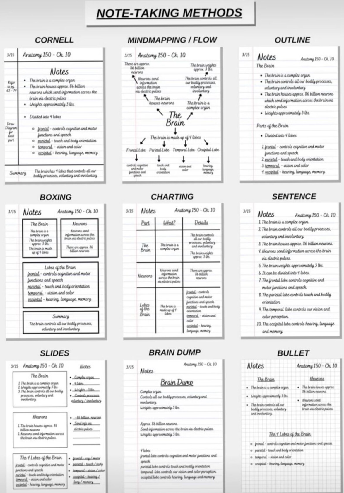 📍 🎨 game-changing digital system: Note Taking Methods Aesthetic Notion Planner
