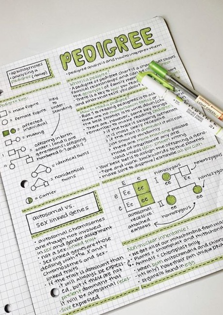 Green Inspiration for Designers and Creatives — 💎 🌈 dream life manifestation