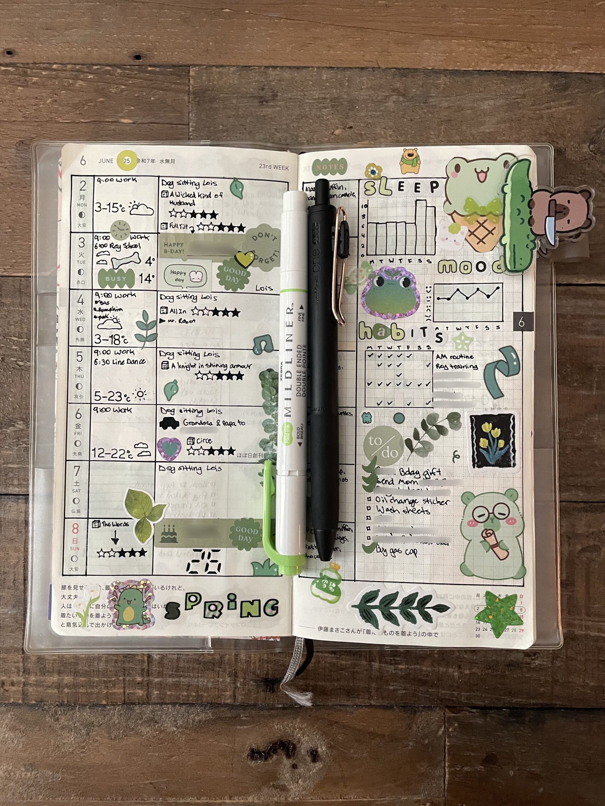 Hobonichi Weekly Spread Design Ideas — 🤍 🌿 secret to staying productive