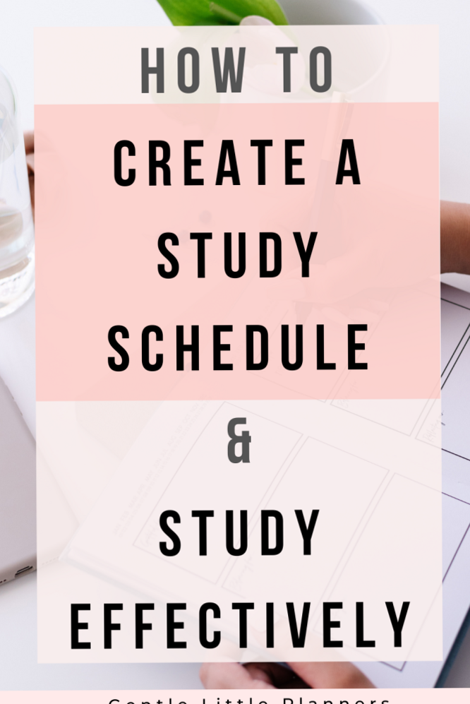 🕯️ ✨ How to Create a Study Plan & Study Smart for Exams | College Tips | stay inspired all year long