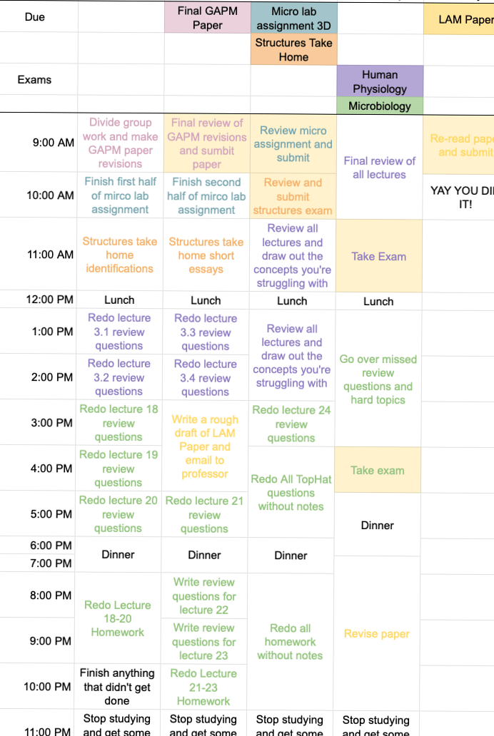 How to Make the Perfect Study Plan for Finals Week — Digital Design & Planner Tips — 📝 📊 romanticize your routine