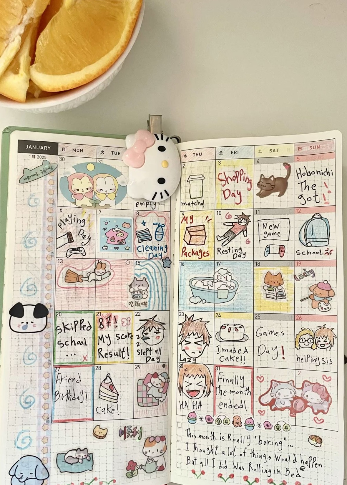 🎀 🎀 January Digital Design Planner Assets 2024 | dream life manifestation