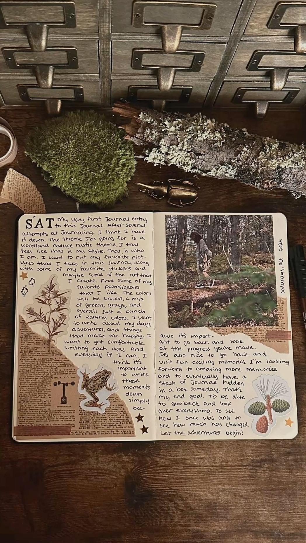 Journal Page Inspiration | varawrites — 🎀 🤍 dream life manifestation