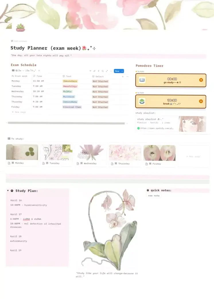 Notion Template for Exam Week Study Planner — 🥂 💌 only tool for life admin