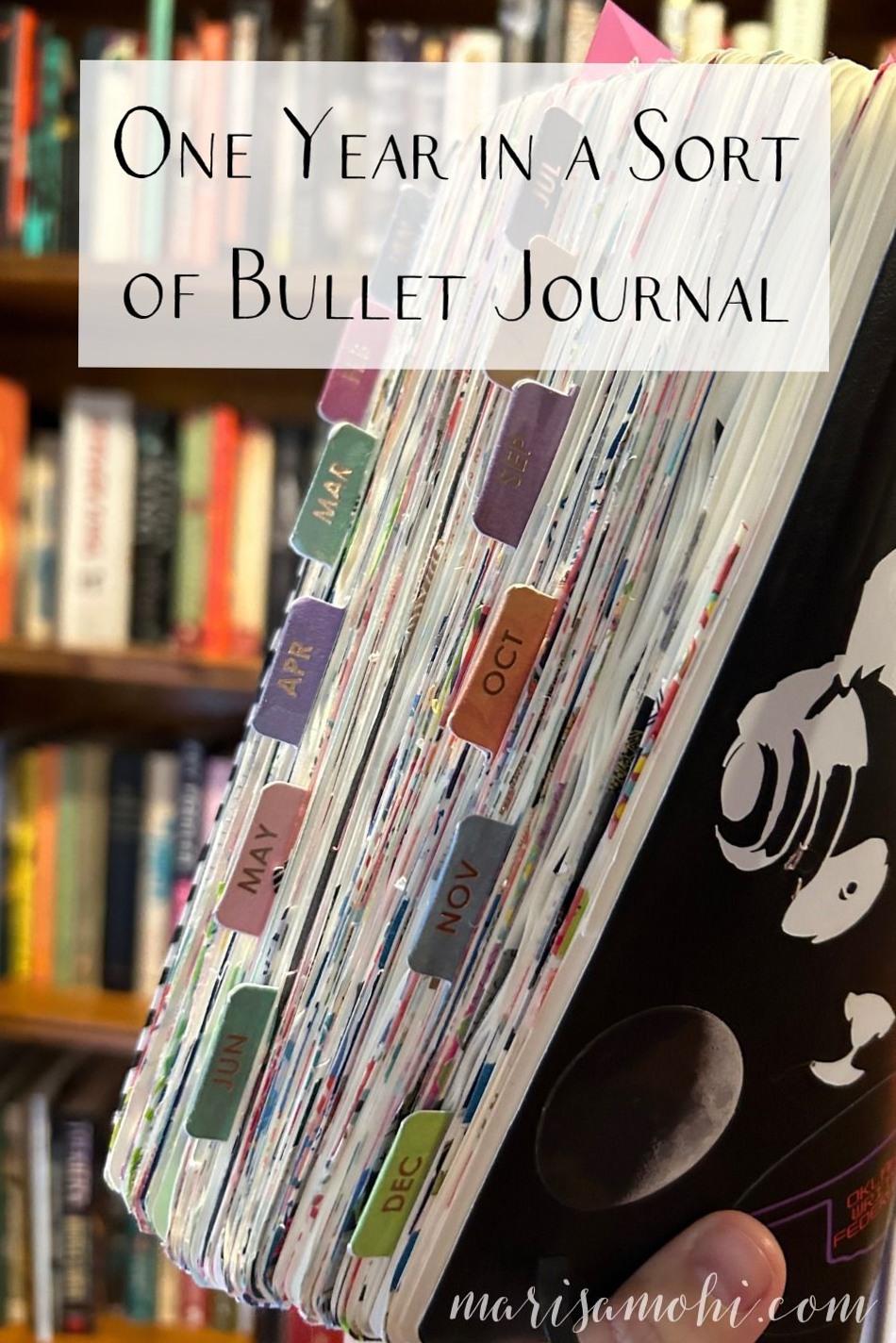 🪄 🎨 One Year in a Sort of Bullet Journal — Marisa Mohi | stay inspired all year long