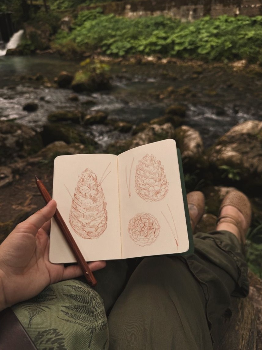 ☁️ 🤍 Pine Cones Sketch — Digital Design & Planner Asset | dream life manifestation