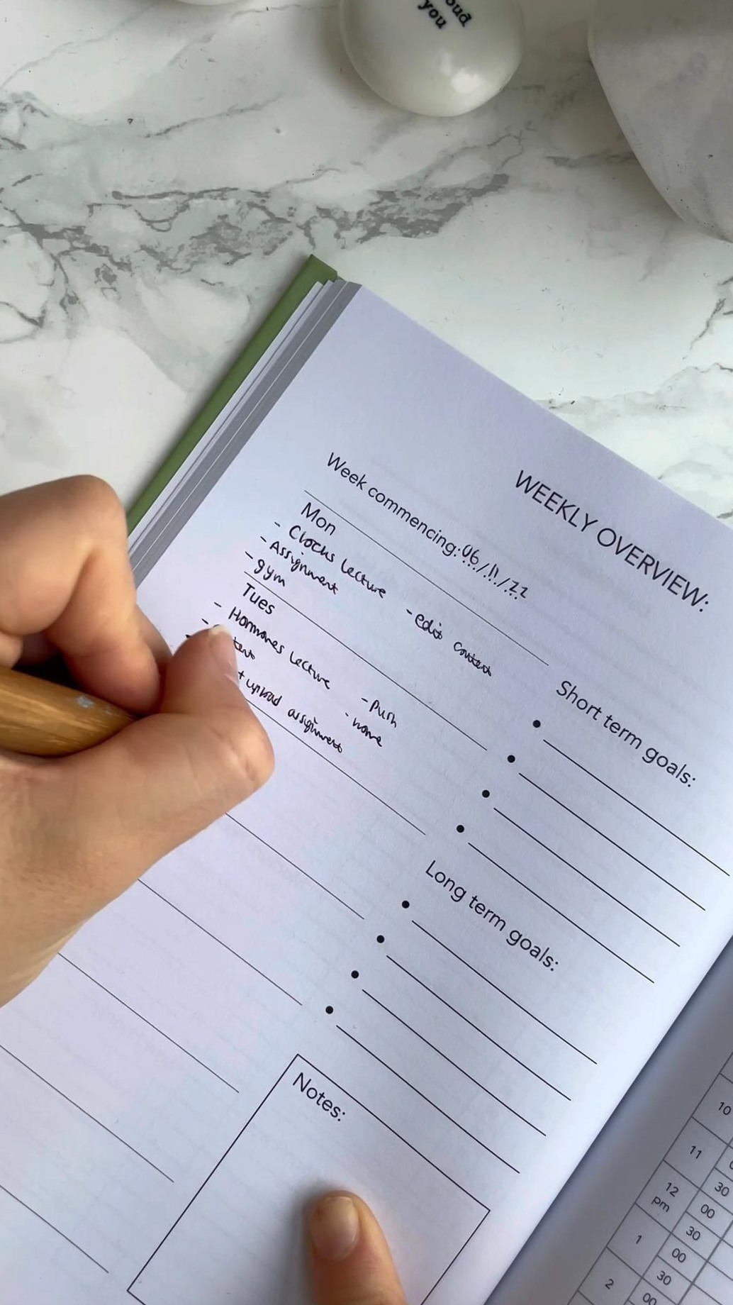 Plan Your Day Like Science Says — 💍 🌸 dream life manifestation