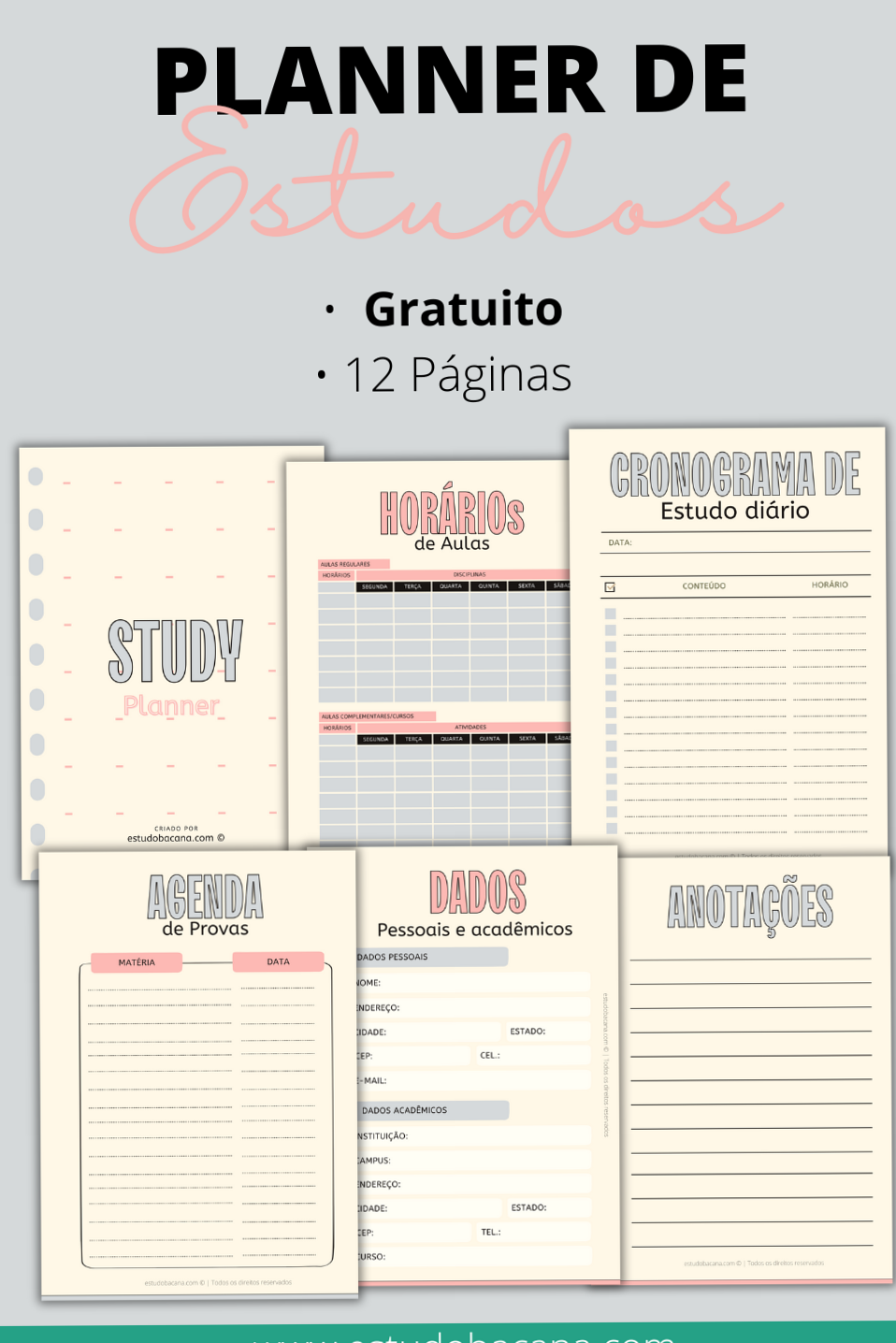 🖇️ 📝 Planner de Estudos Azul e Rosa Grátis para Imprimir | romanticize your routine