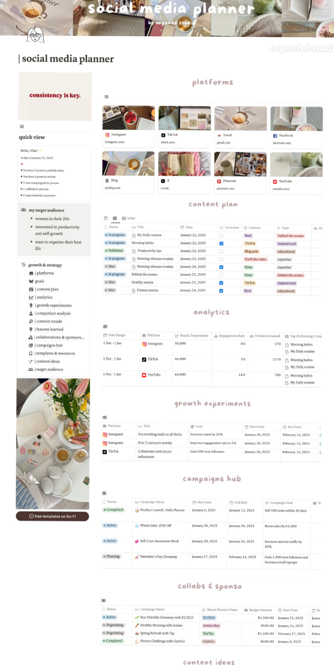 🤍 ✨ pro digital dashboard: Social Media Planner Notion Template | Content Creation Agenda & Organization Planner