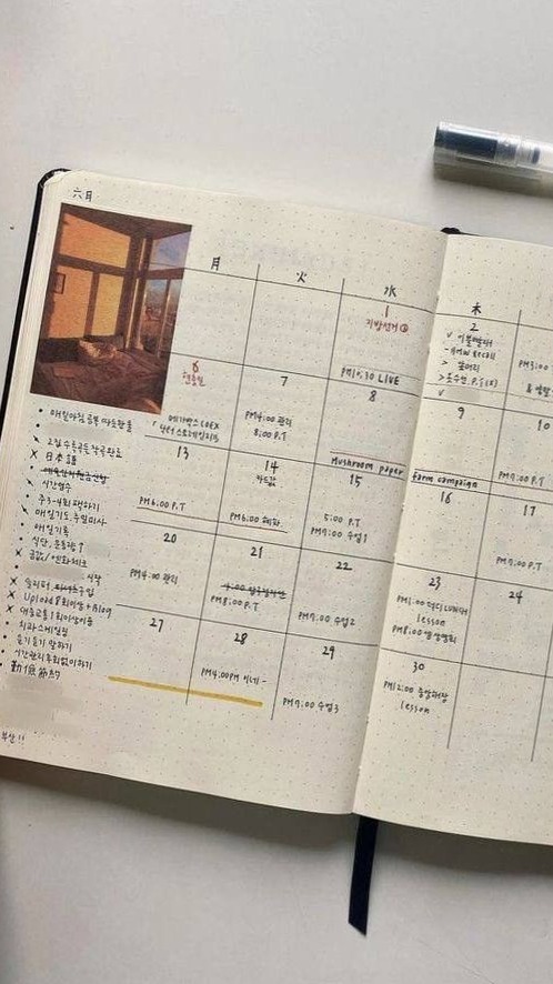 📊 📝 romanticize your routine: Creative Assets by @s0l_rodriguez | Digital Design & Planners