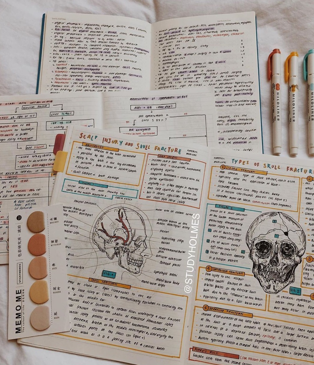 💌 🥂 secret to staying productive: Fotos En Apuntes De Medicina BB2