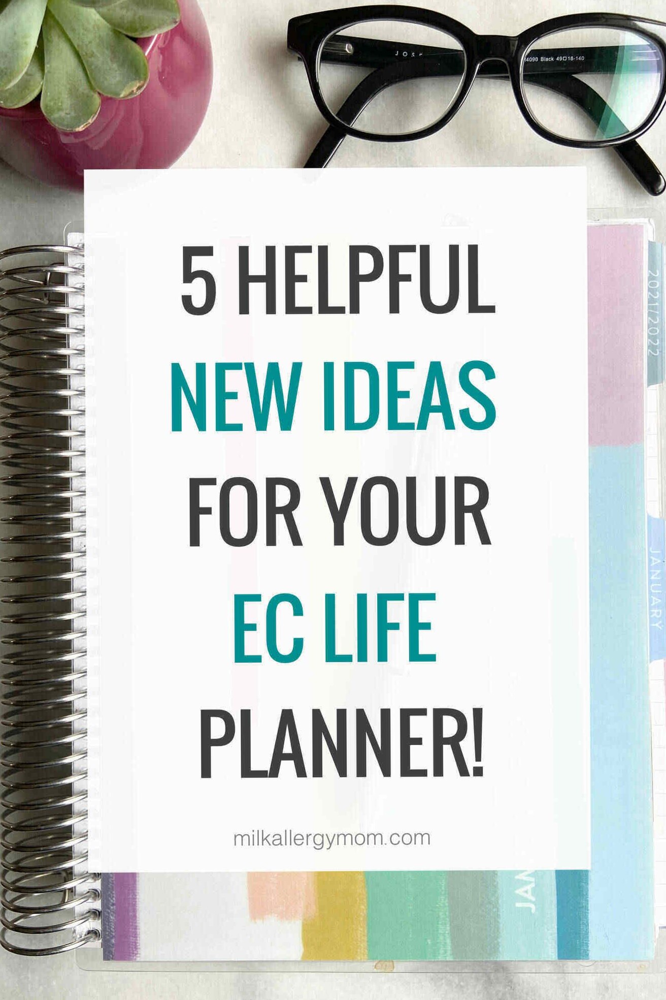☁️ ✨ secret to staying productive: 5 Organization Ideas for EC Life Planners