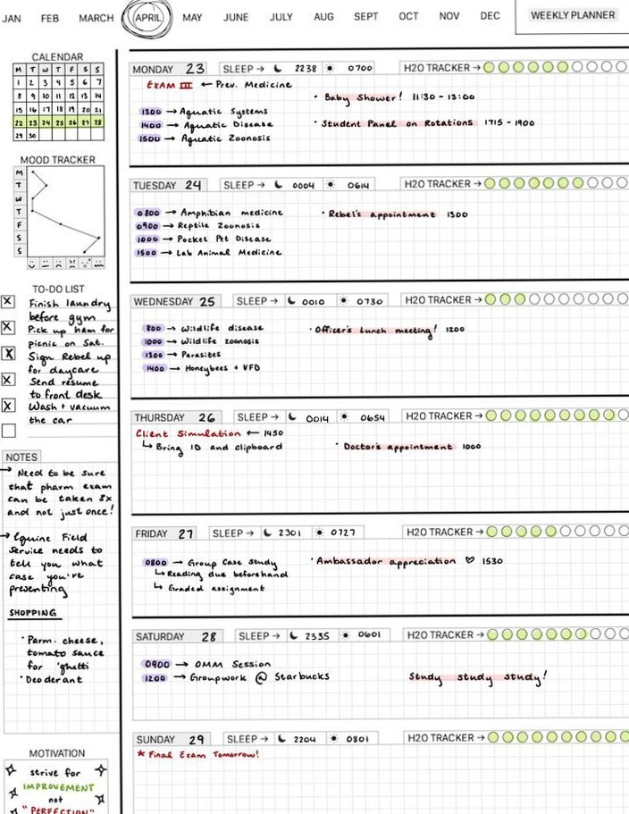 🖌️ 🎨 secret to staying productive: Veterinary Studies Weekly Planner 04.28.18
