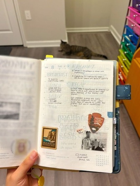 🖌️ 🎨 secret to staying productive: Hobonichi Techo Daily July 2025 — Calligrakat Planner Design