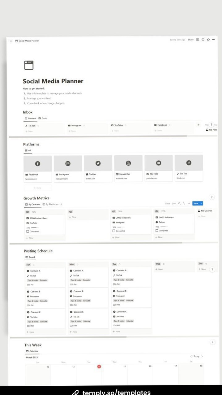 Social Media Planner for Notion | Digital Design & Creative Assets — 💌 👰 only tool for life admin