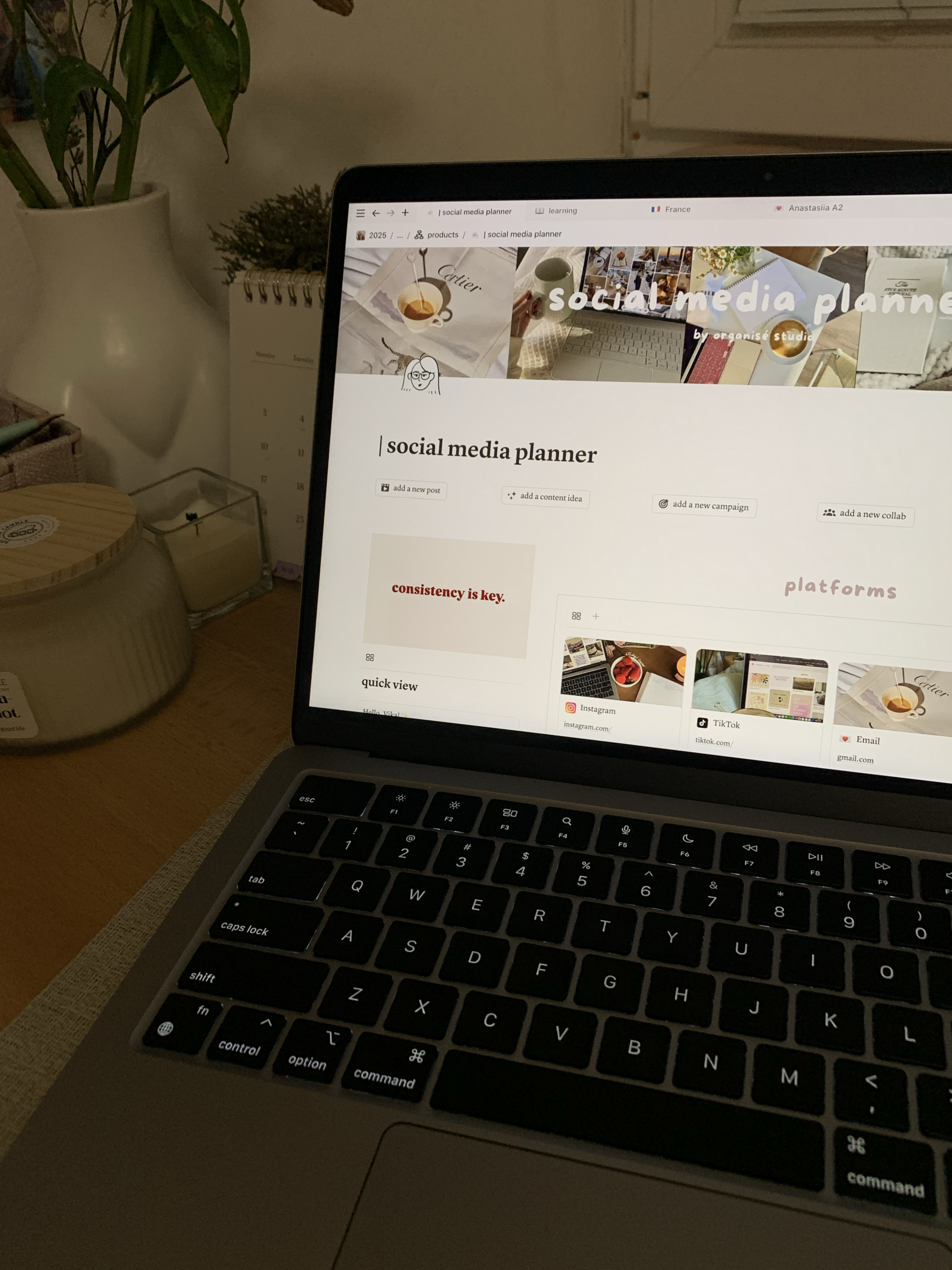 ✨ ☁️ Social Media Planner Notion Template | Content Creation for School | 2026 efficiency hack