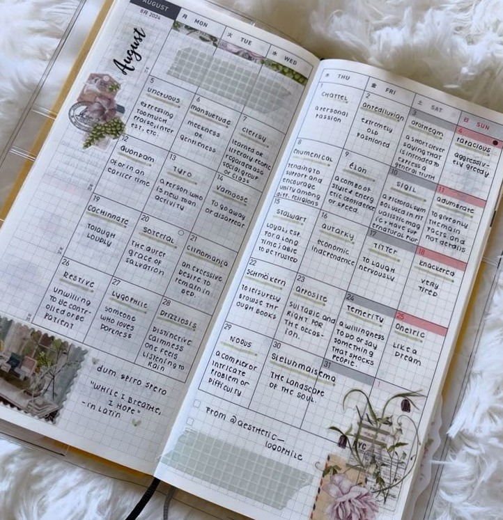 🎀 🤍 stay inspired all year long: Creative Bullet Journal Inspiration for Digital Designers