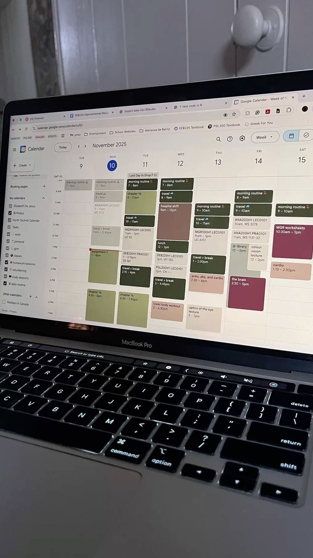 📍 🪄 stay inspired all year long: Google Calendar Aesthetic for Digital Planners