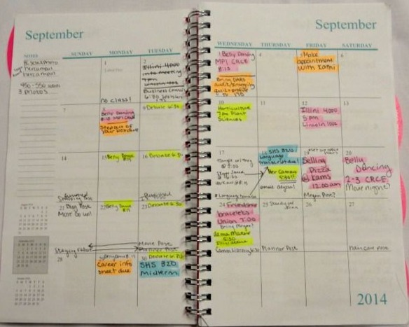 The Collegiate’s Planner Playbook | Mostly Morgan — 🤍 🌿 seamless organization hack