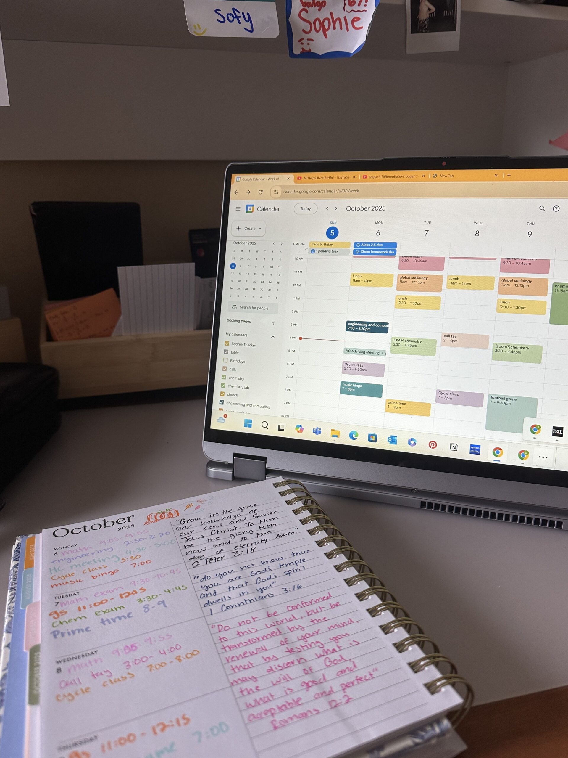 Weekly Planning for Creative Minds — 🖇️ 📊 romanticize your routine