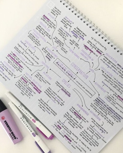 Whitelines Notebook Review for Digital Designers & Planners — 🤍 ✨ stay inspired all year long