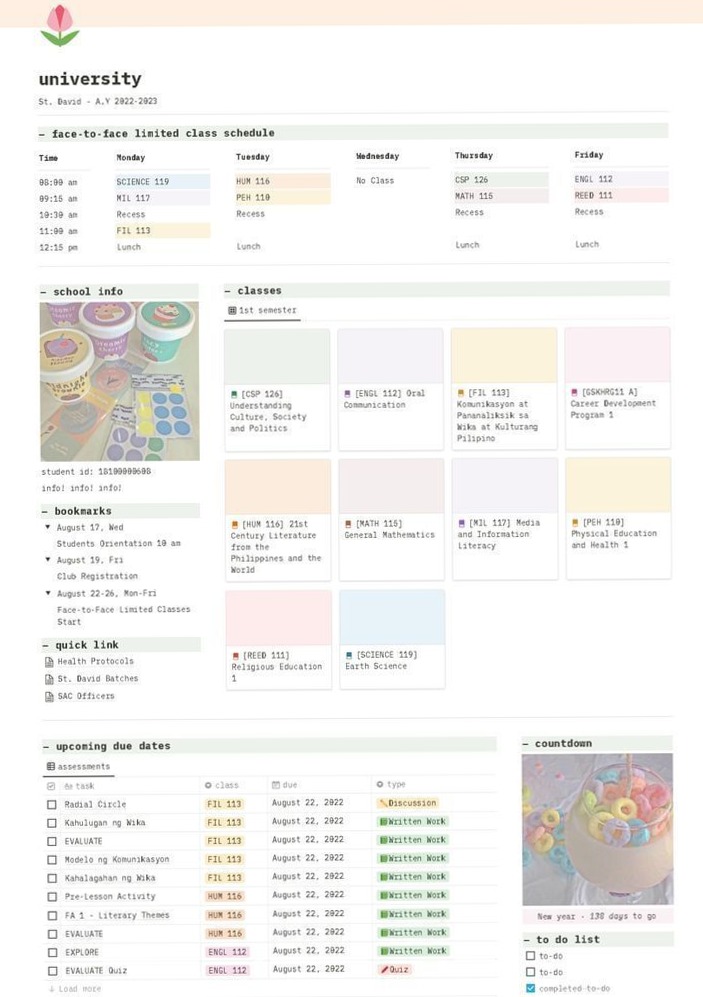 Your Ultimate Uni Timetable Organization Hack, University Notion, Monthly Planner Notion Template — 🖌️ 🎨 only tool for life admin